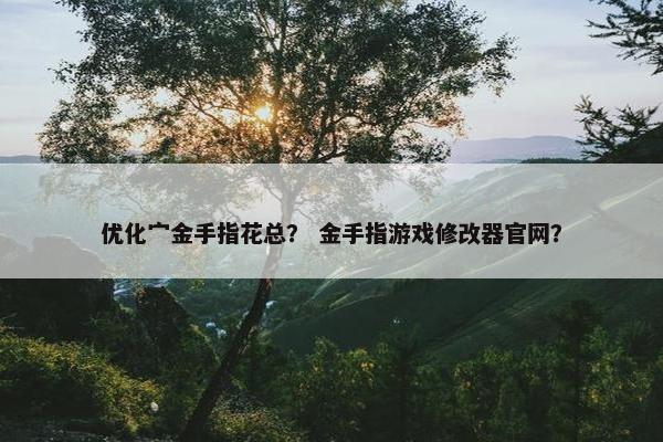 优化宀金手指花总？ 金手指游戏修改器官网？