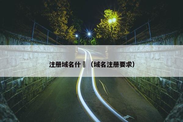 注册域名什麼（域名注册要求）