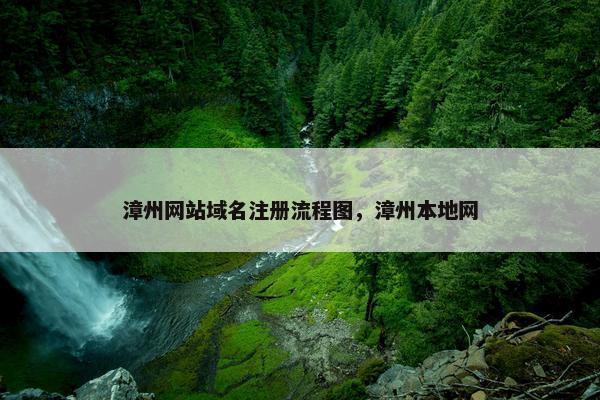 漳州网站域名注册流程图，漳州本地网