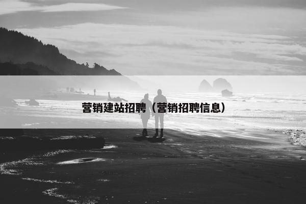 营销建站招聘（营销招聘信息）