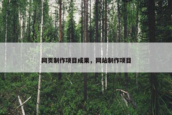 网页制作项目成果，网站制作项目