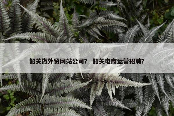 韶关做外贸网站公司？ 韶关电商运营招聘？