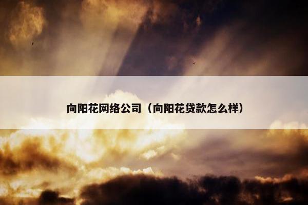 向阳花网络公司（向阳花贷款怎么样）