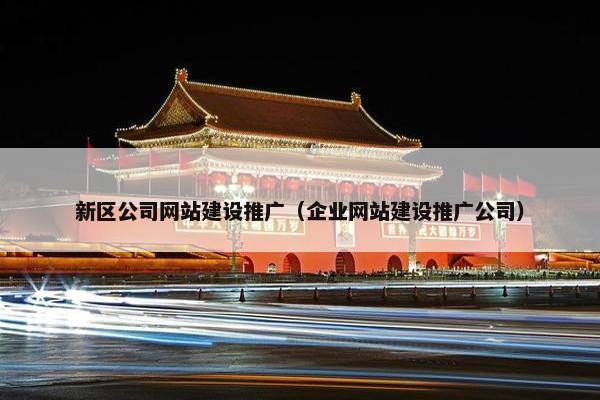 新区公司网站建设推广（企业网站建设推广公司）
