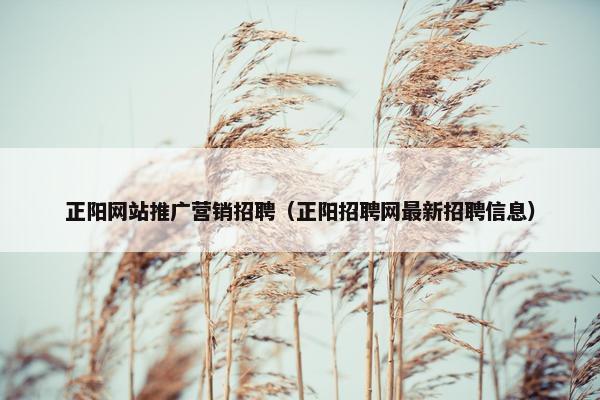 正阳网站推广营销招聘（正阳招聘网最新招聘信息）
