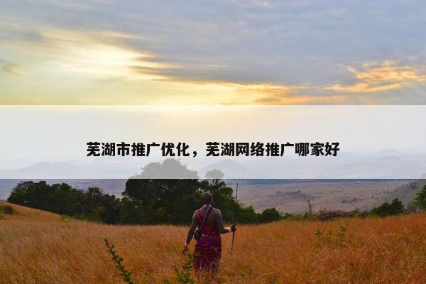 芜湖市推广优化，芜湖网络推广哪家好