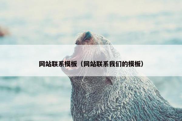 网站联系模板（网站联系我们的模板）