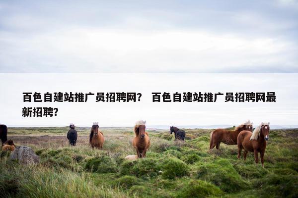 百色自建站推广员招聘网？ 百色自建站推广员招聘网最新招聘？