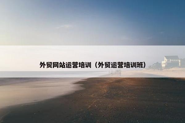 外贸网站运营培训（外贸运营培训班）