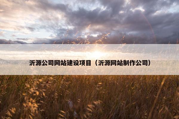 沂源公司网站建设项目（沂源网站制作公司）