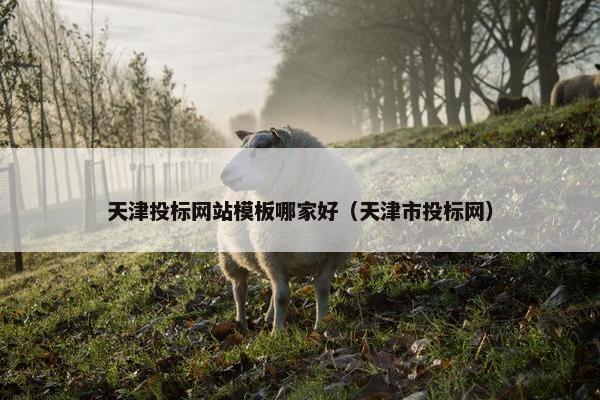 天津投标网站模板哪家好（天津市投标网）