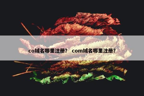 co域名哪里注册？ com域名哪里注册？