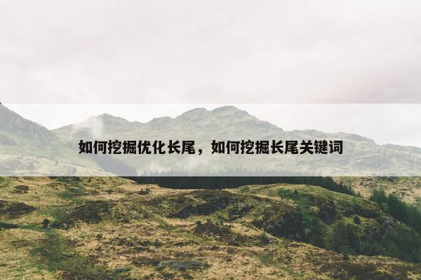 如何挖掘优化长尾，如何挖掘长尾关键词