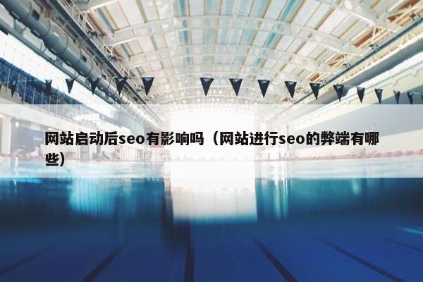 网站启动后seo有影响吗（网站进行seo的弊端有哪些）