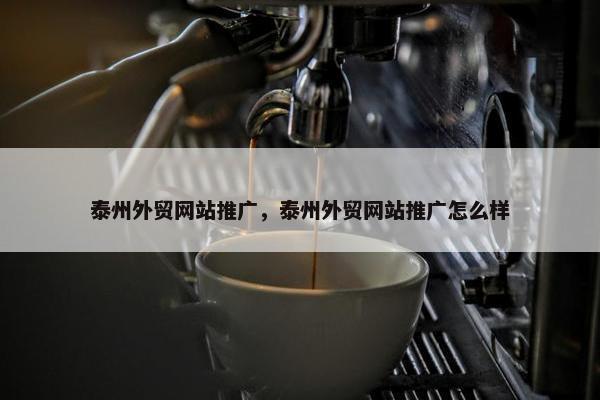 泰州外贸网站推广，泰州外贸网站推广怎么样