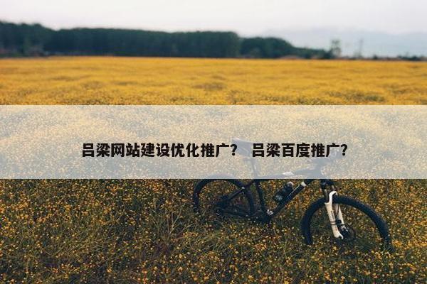 吕梁网站建设优化推广？ 吕梁百度推广？
