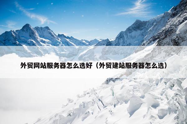 外贸网站服务器怎么选好（外贸建站服务器怎么选）