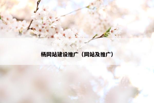 杨网站建设推广（网站及推广）