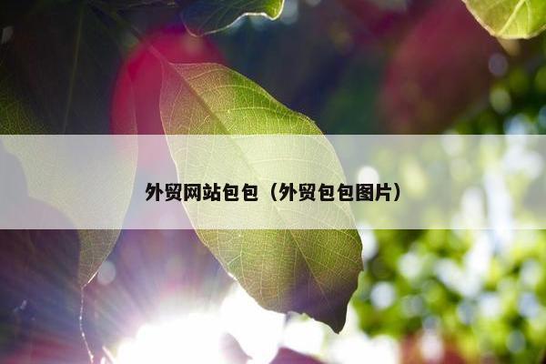 外贸网站包包（外贸包包图片）