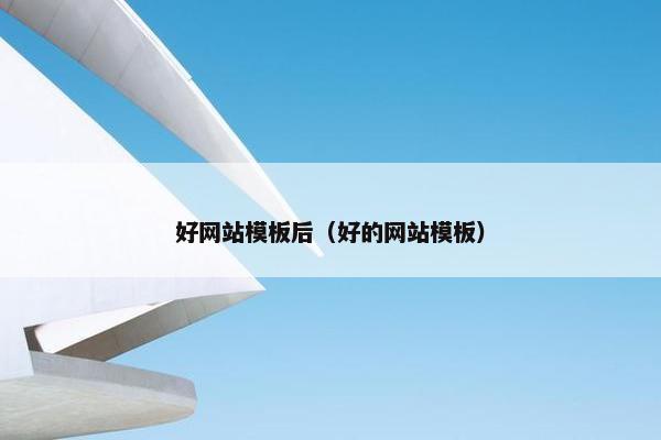 好网站模板后（好的网站模板）