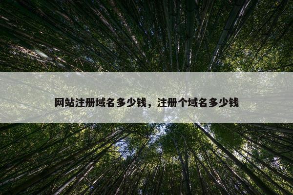 网站注册域名多少钱，注册个域名多少钱