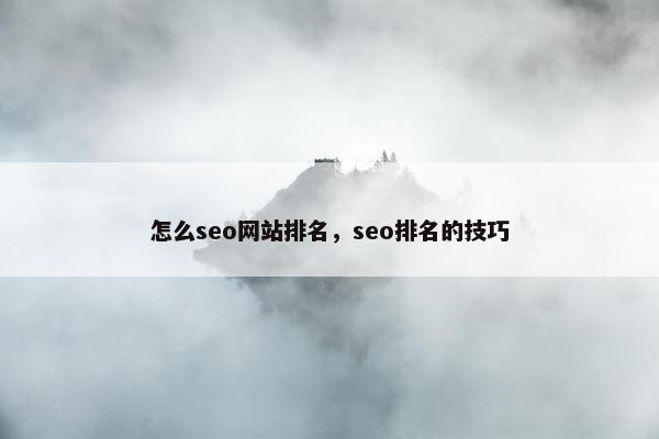 怎么seo网站排名，seo排名的技巧