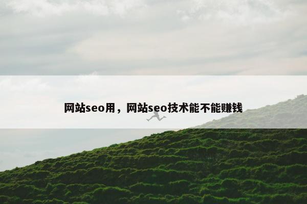 网站seo用，网站seo技术能不能赚钱