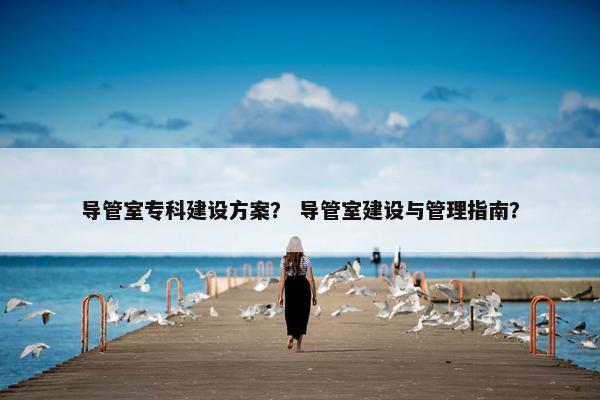 导管室专科建设方案？ 导管室建设与管理指南？