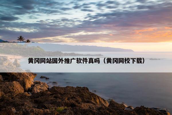 黄冈网站国外推广软件真吗（黄冈网校下载）