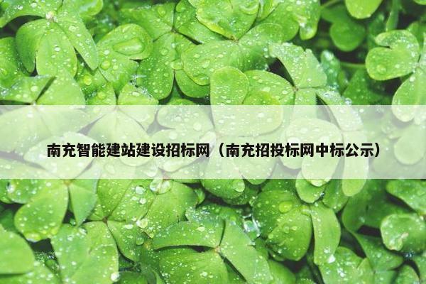 南充智能建站建设招标网（南充招投标网中标公示）
