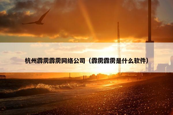 杭州霹雳霹雳网络公司（霹雳霹雳是什么软件）