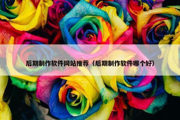 后期制作软件网站推荐（后期制作软件哪个好）