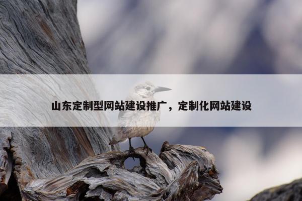 山东定制型网站建设推广，定制化网站建设