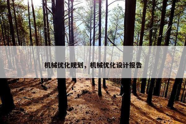 机械优化规划，机械优化设计报告