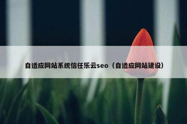 自适应网站系统信任乐云seo（自适应网站建设）