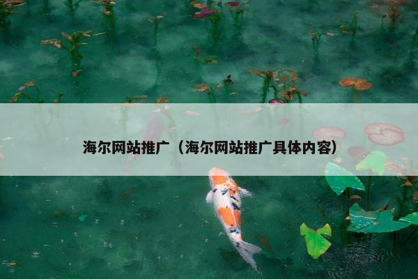 海尔网站推广（海尔网站推广具体内容）