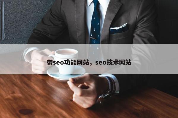带seo功能网站，seo技术网站