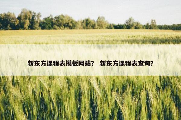 新东方课程表模板网站？ 新东方课程表查询？