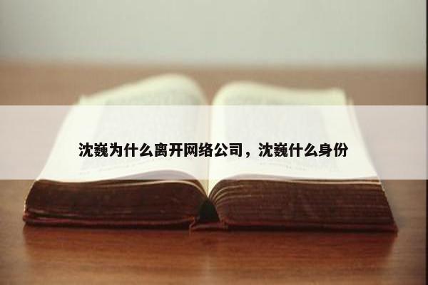 沈巍为什么离开网络公司，沈巍什么身份