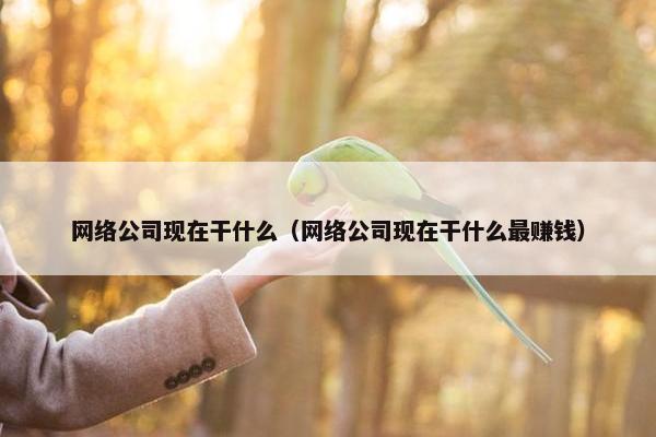 网络公司现在干什么（网络公司现在干什么最赚钱）