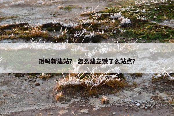 饿吗新建站？ 怎么建立饿了么站点？