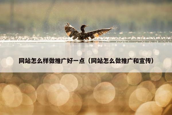 网站怎么样做推广好一点（网站怎么做推广和宣传）