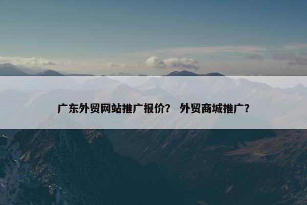 广东外贸网站推广报价？ 外贸商城推广？