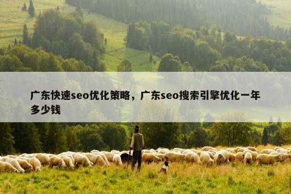 广东快速seo优化策略，广东seo搜索引擎优化一年多少钱