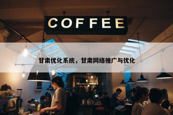 甘肃优化系统，甘肃网络推广与优化