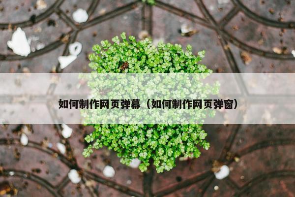 如何制作网页弹幕（如何制作网页弹窗）