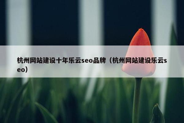 杭州网站建设十年乐云seo品牌（杭州网站建设乐云seo）