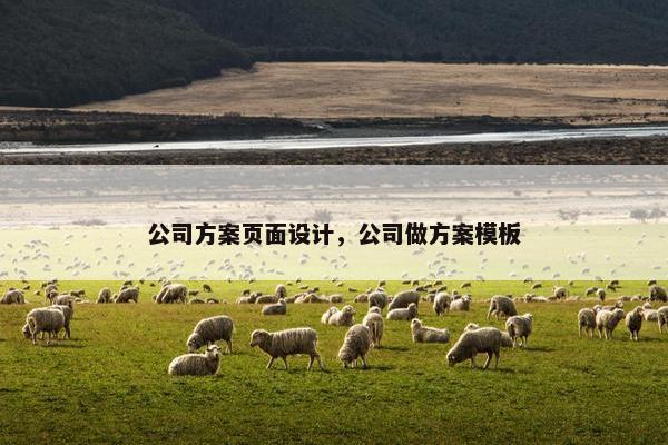 公司方案页面设计，公司做方案模板