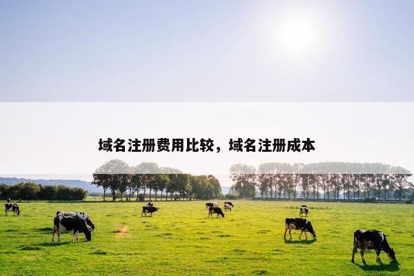 域名注册费用比较，域名注册成本