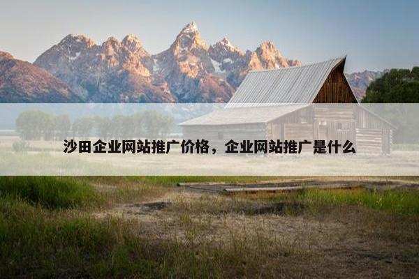 沙田企业网站推广价格，企业网站推广是什么